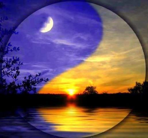 day & night yin yang